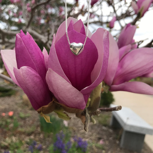 Beauty of Spring