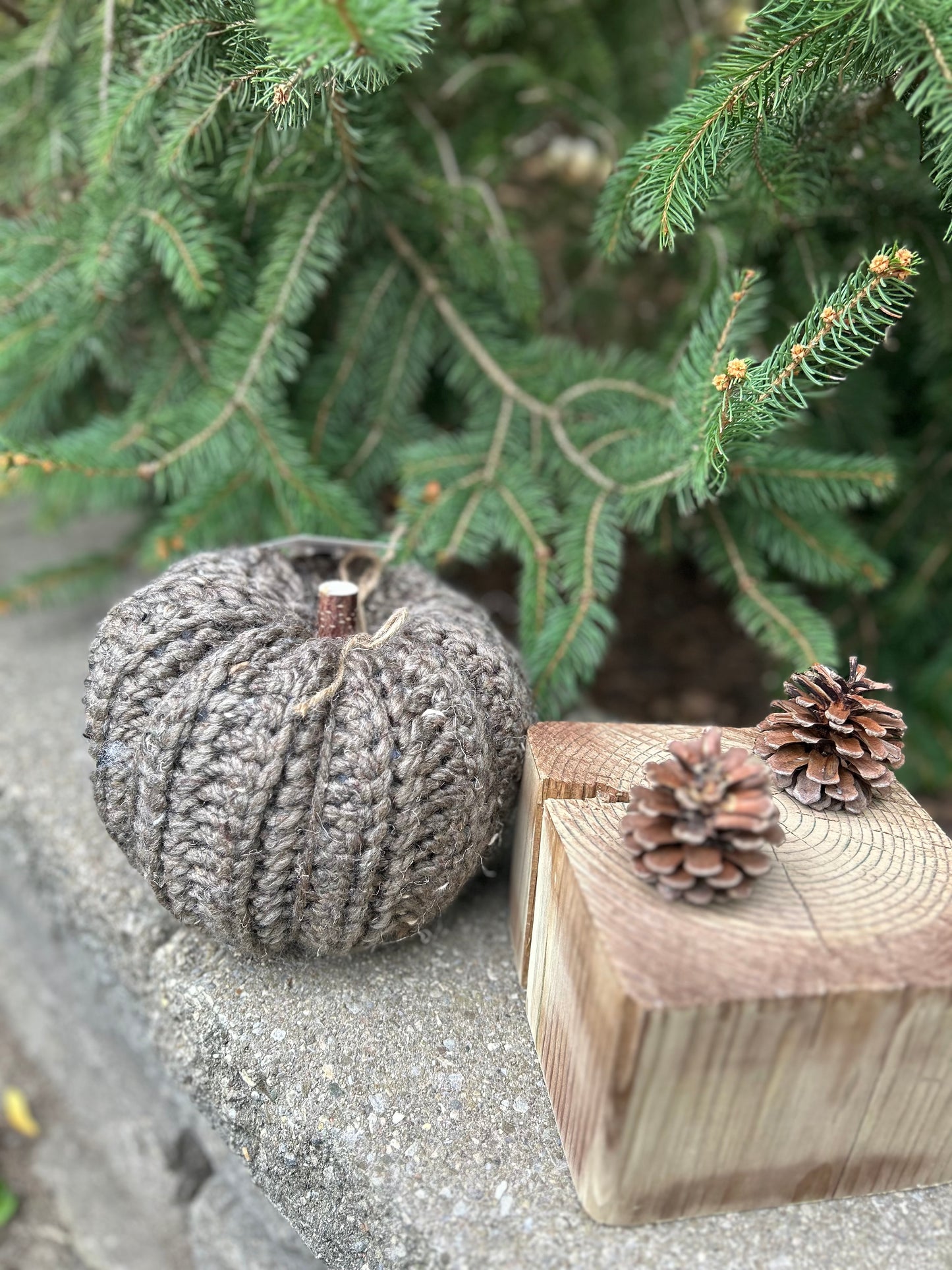 Rustic Pumpkins-Medium