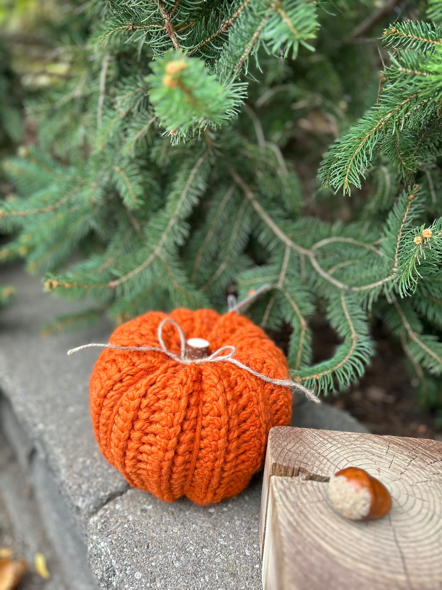 Rustic Pumpkins-Medium