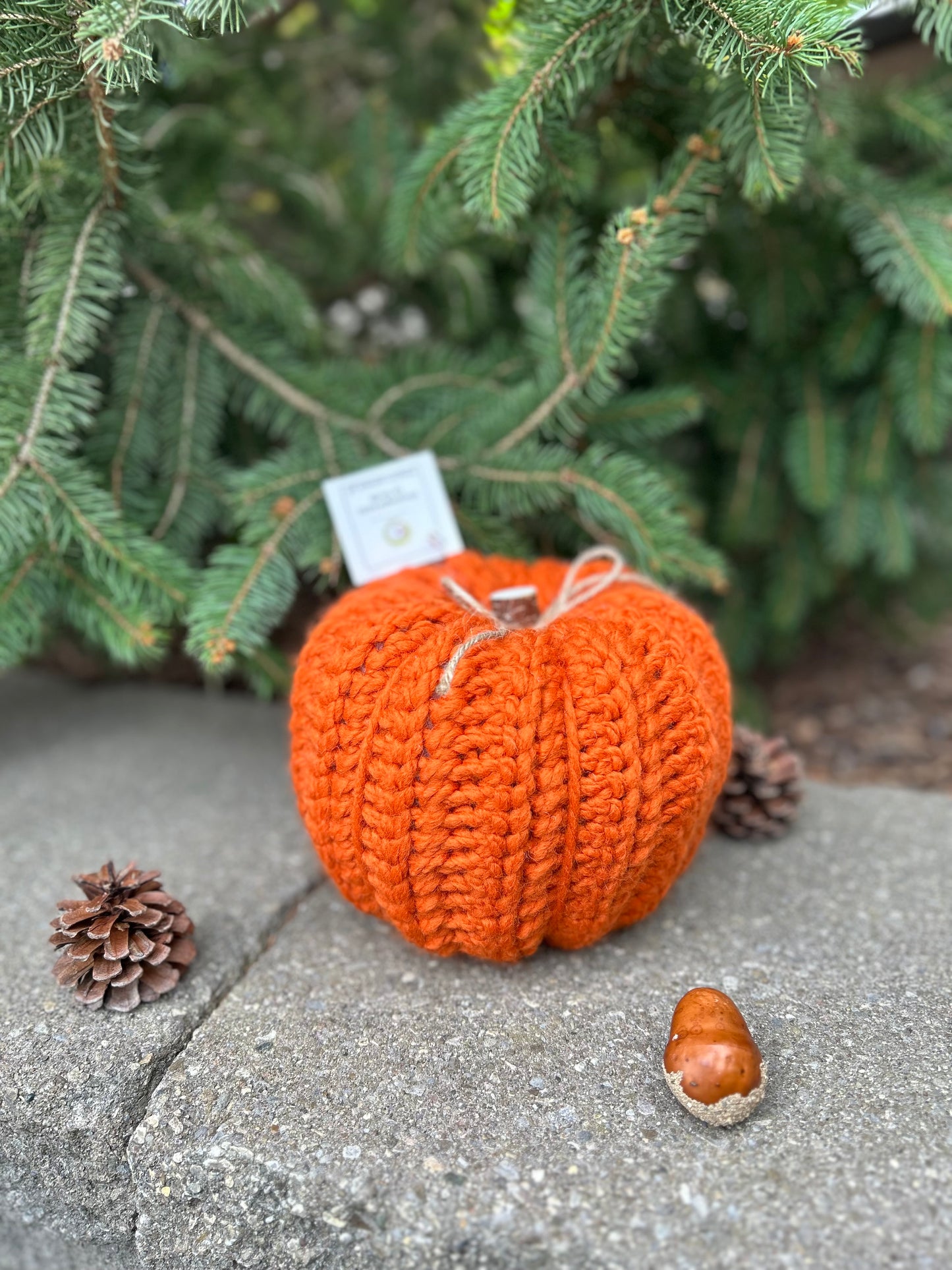 Rustic Pumpkins-Medium