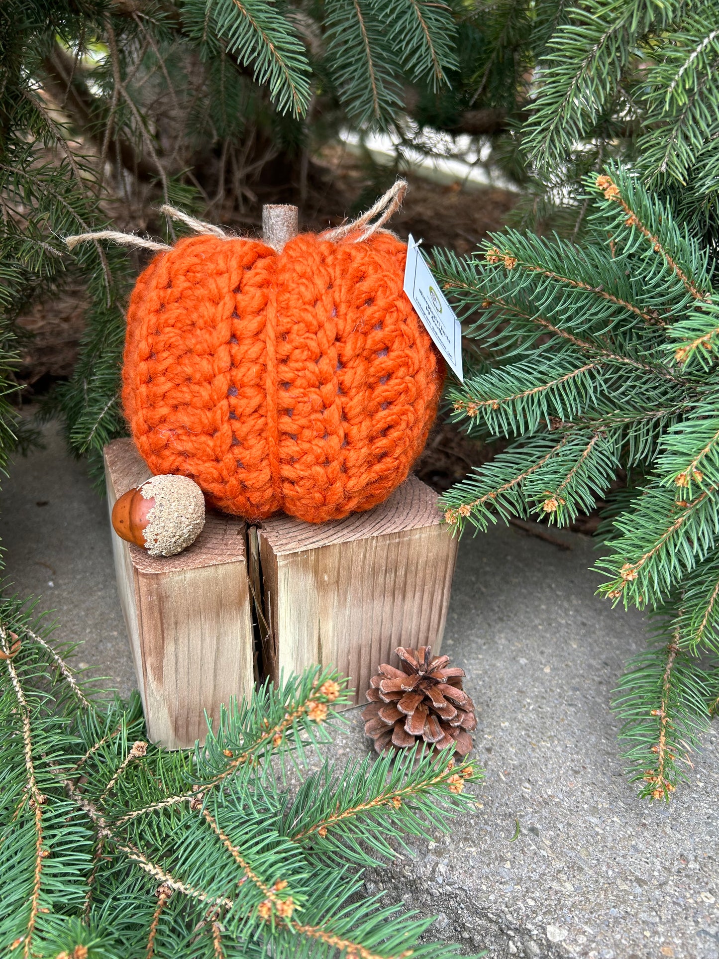 Rustic Pumpkins-Large