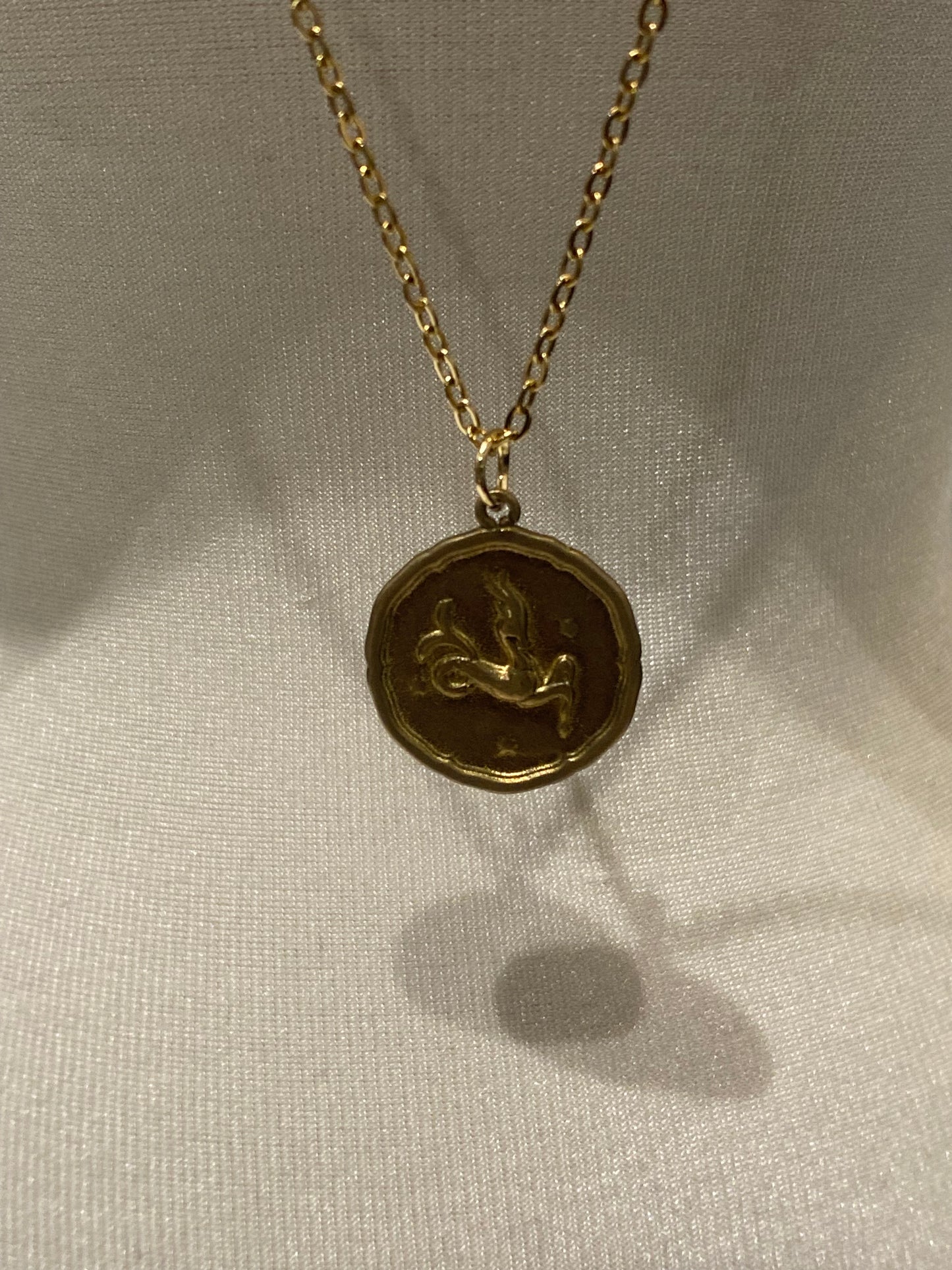 Capricorn Necklace
